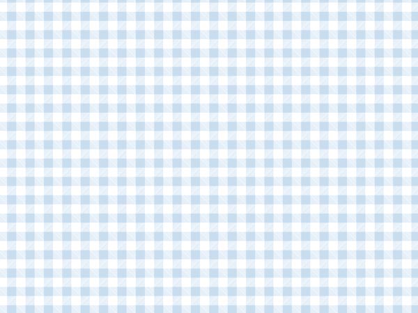 Blue Gingham Print Tissue Paper - 20x30"