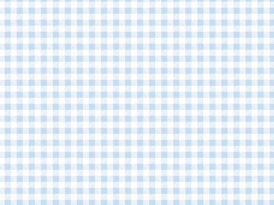 Blue Gingham Print Tissue Paper - 20x30"