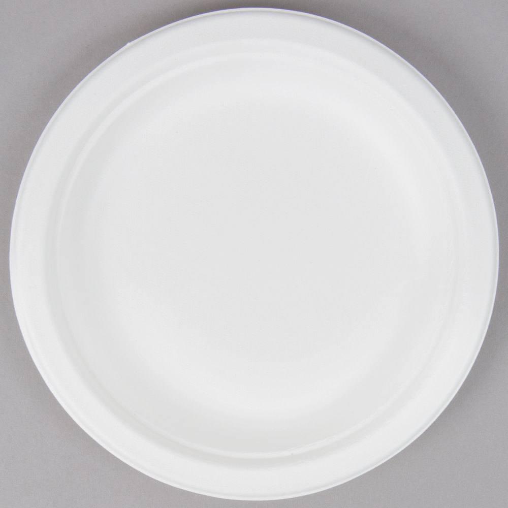 Paper Plates Biodegradable | Biodegradable Plate | Premium Supplies TX