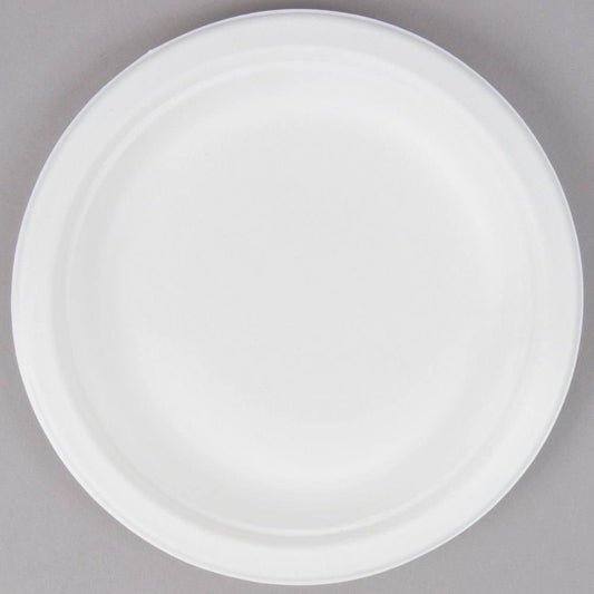 Paper Plates Biodegradable | Biodegradable Plate | Premium Supplies TX