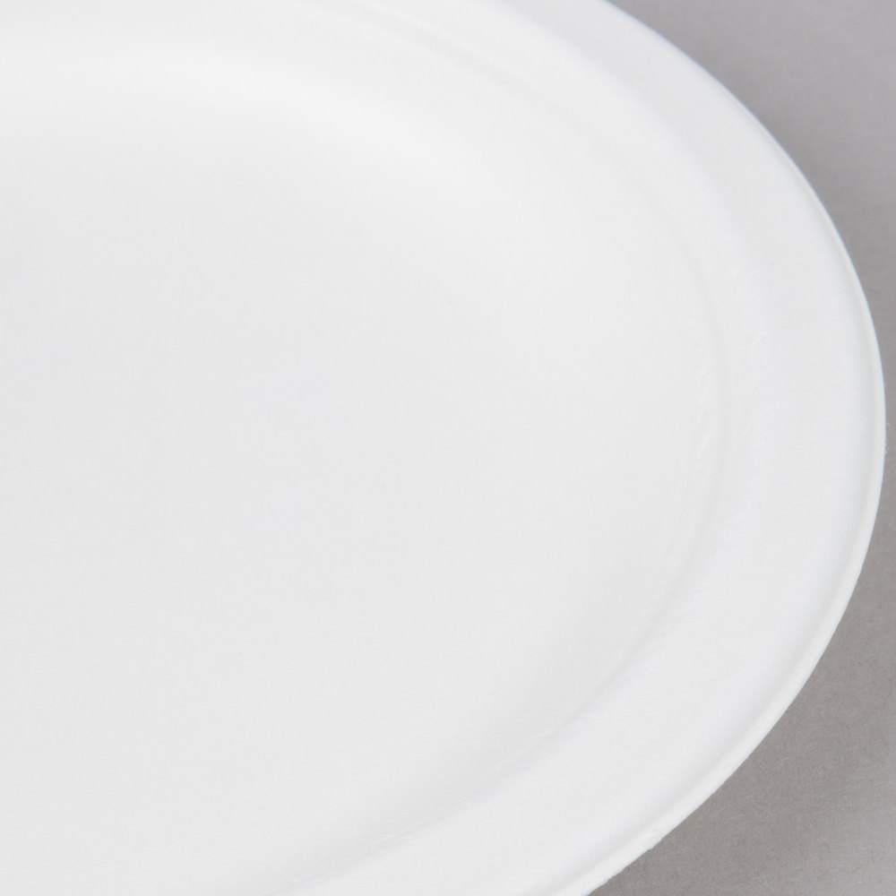 Paper Plates Biodegradable | Biodegradable Plate | Premium Supplies TX